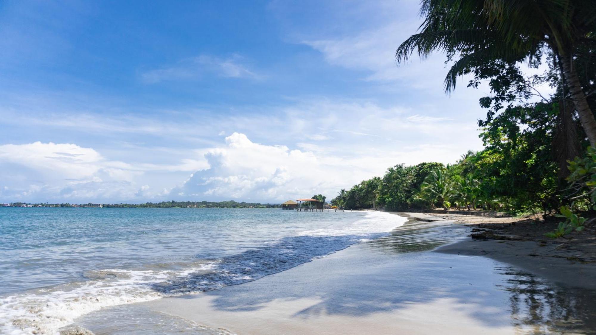 Bocas Garden Lodges โบกัสทาวน์ ภายนอก รูปภาพ