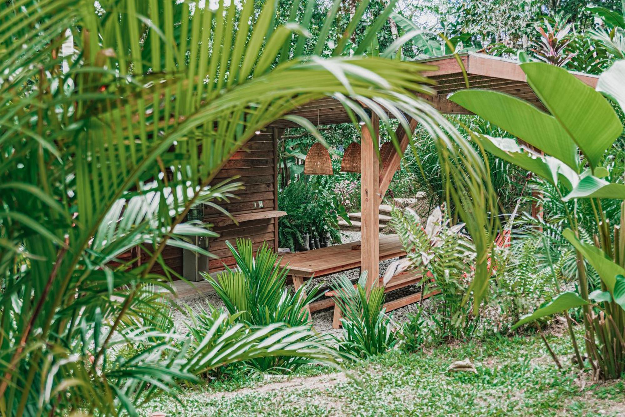 Bocas Garden Lodges โบกัสทาวน์ ภายนอก รูปภาพ